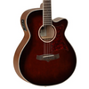 Tanglewood Winterleaf Super Folk Cutaway Electro Acoustic Guitar - Whiskey Barrel Gloss